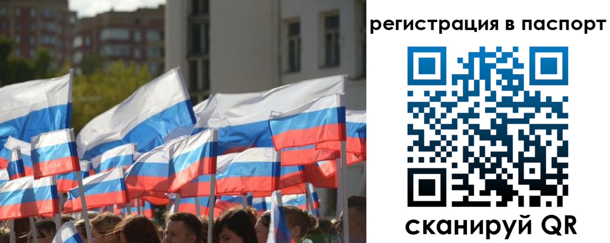 прописка законно в Звенигово